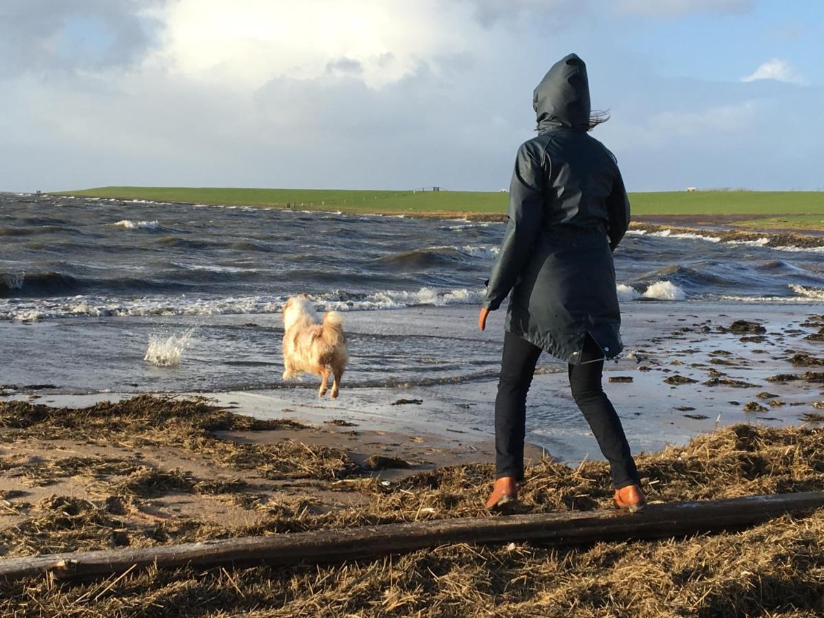 Reetdachhaus Deichkrone Nordstrand